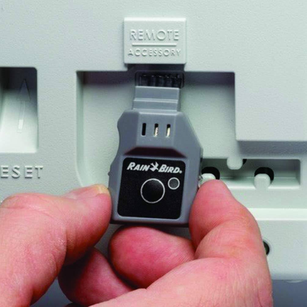 Module WiFi Rain-Bird LNK 2025 pour programmateurs ESP-TM2/ESP-Me – Mise à niveau pour l