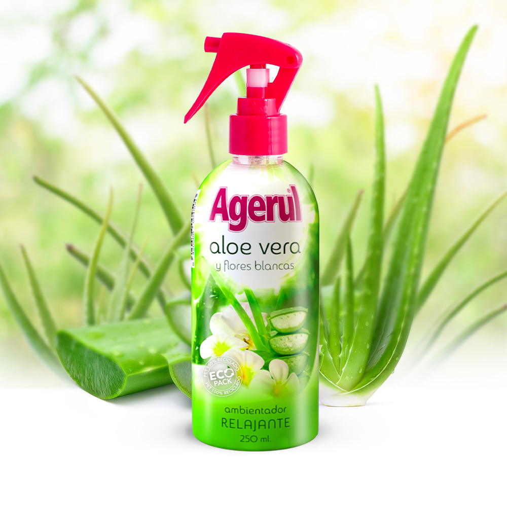Aloe vera relaxant et fleurs blanches