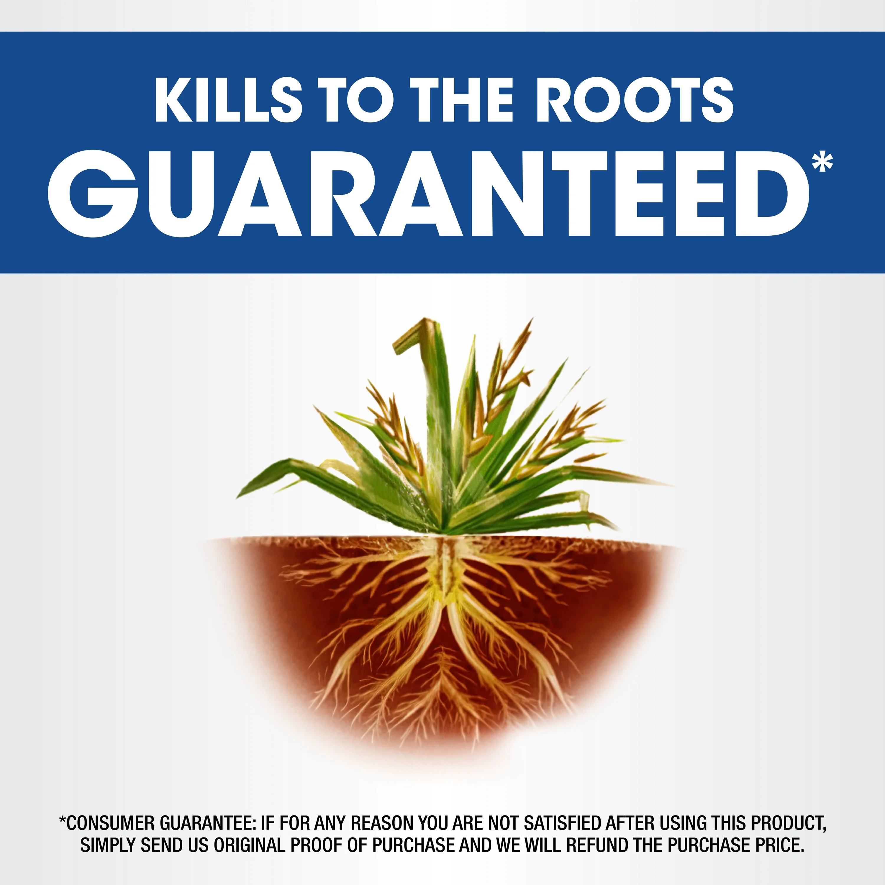 Roundup Weed & Grass Killer? Concentrate, Use in Flower Beds and Other Areas of Your Yard, 1 Gal