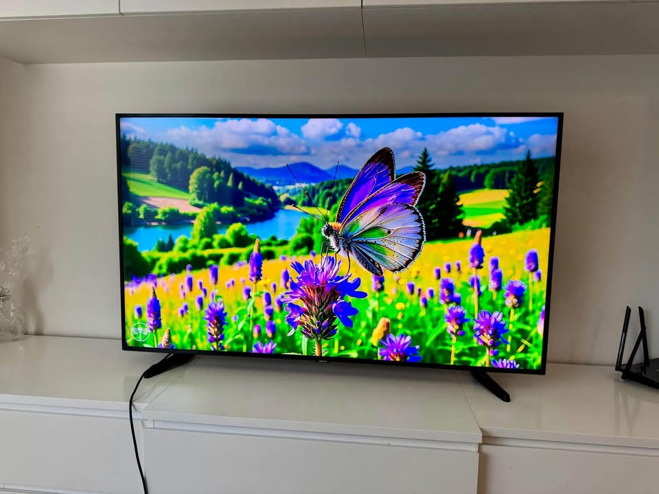 Smart TV 55 inch