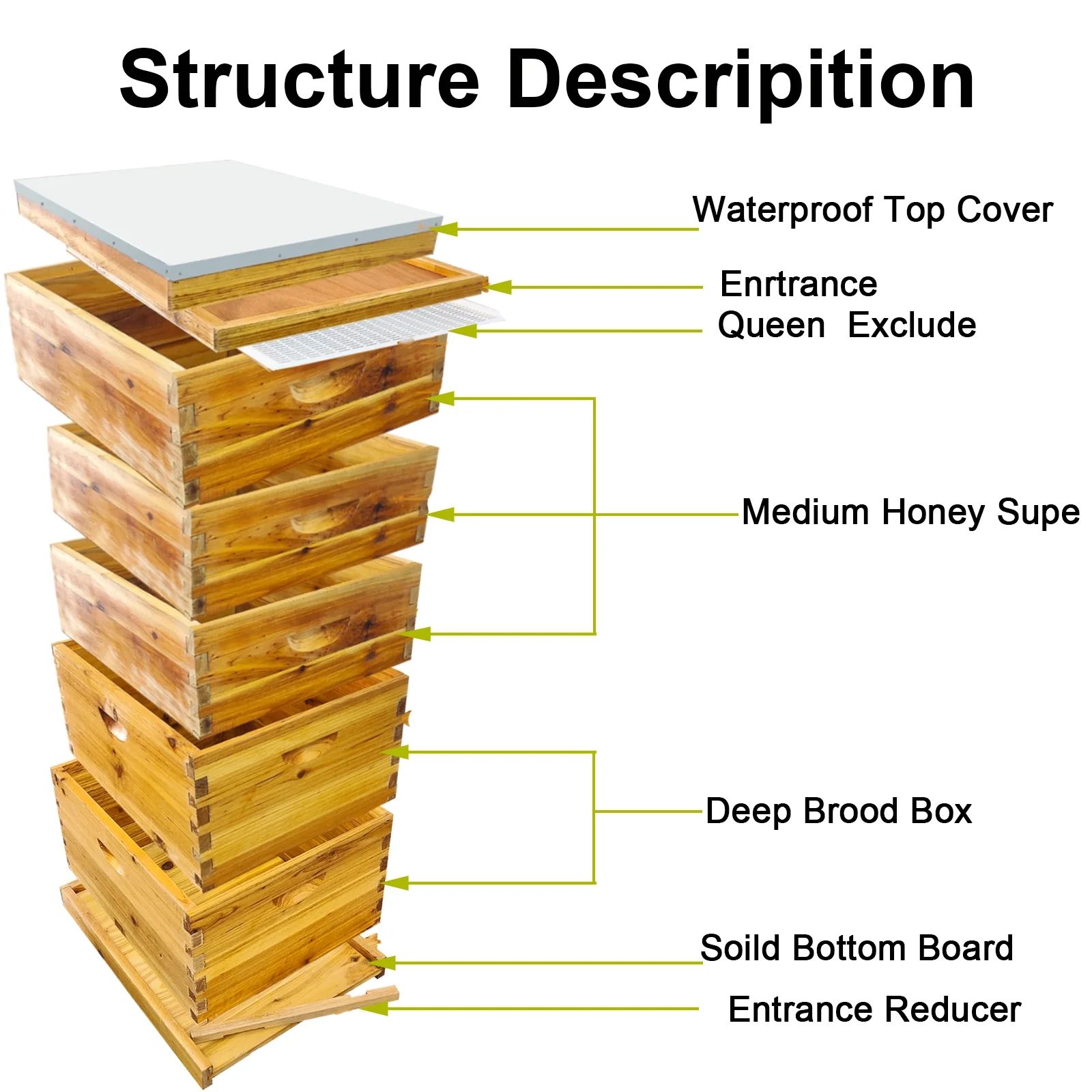 PRIJESSE 5 - Layer Bee Hive for Beekeeping - 2 Deep & 3 Medium Boxes with Beeswax Coating, Ventilated Metal Roof (Frames Sold Separately)