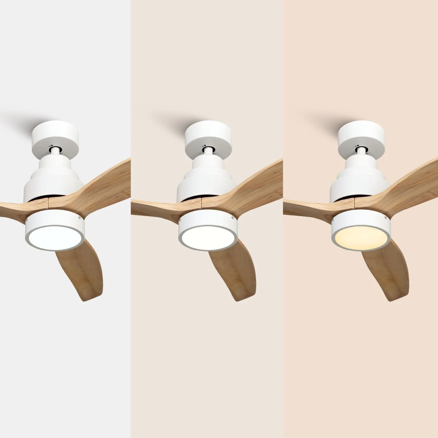 Brizy Bright Bois Clair