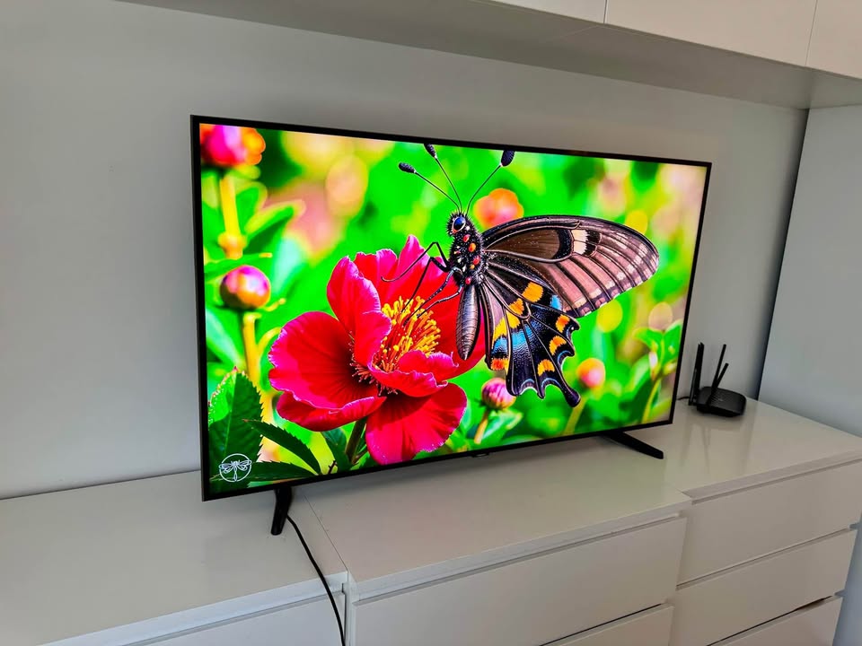 Smart TV 55 inch
