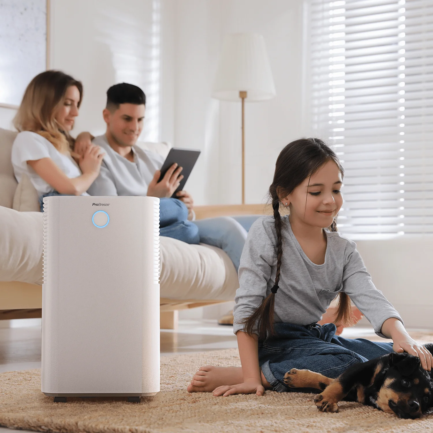 Déshumidificateur OmniDry 12 L silencieux et écoénergétique – Blanc