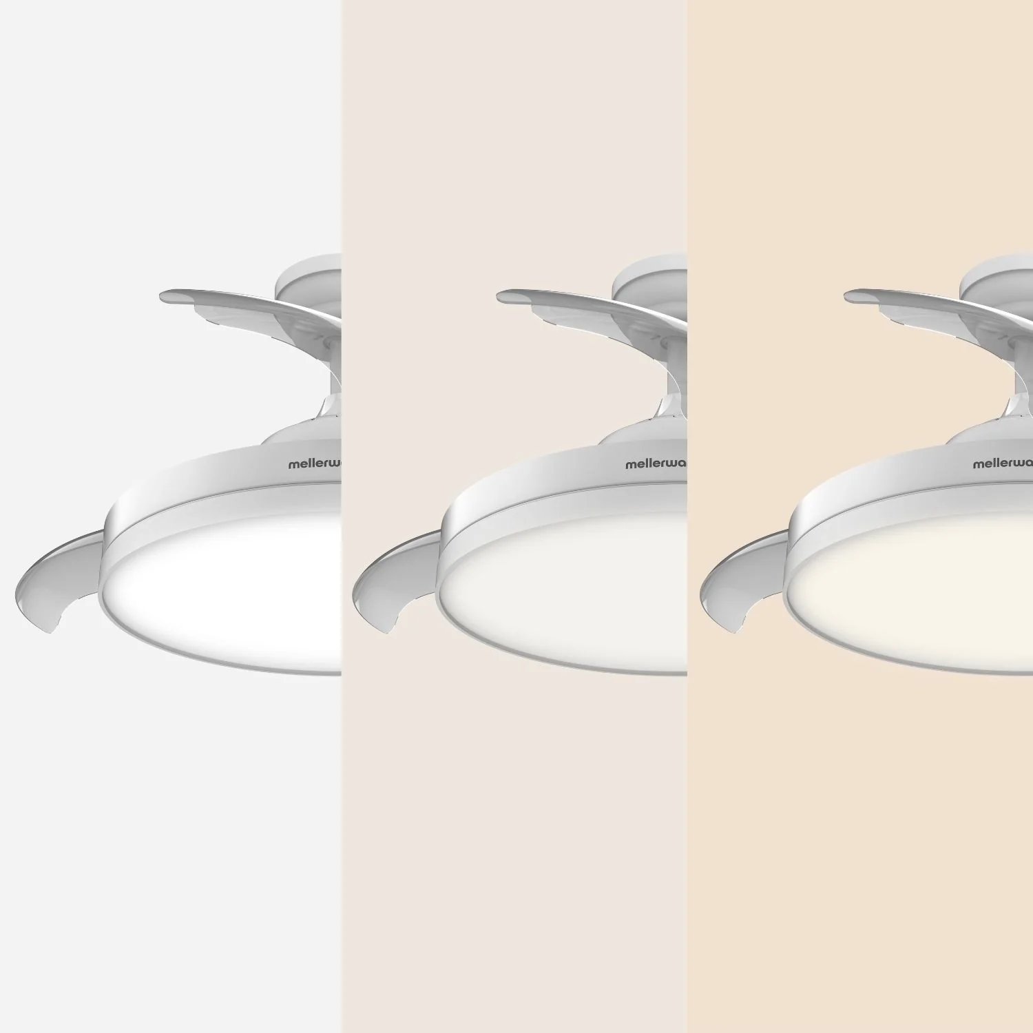 Brizy Bright pliable