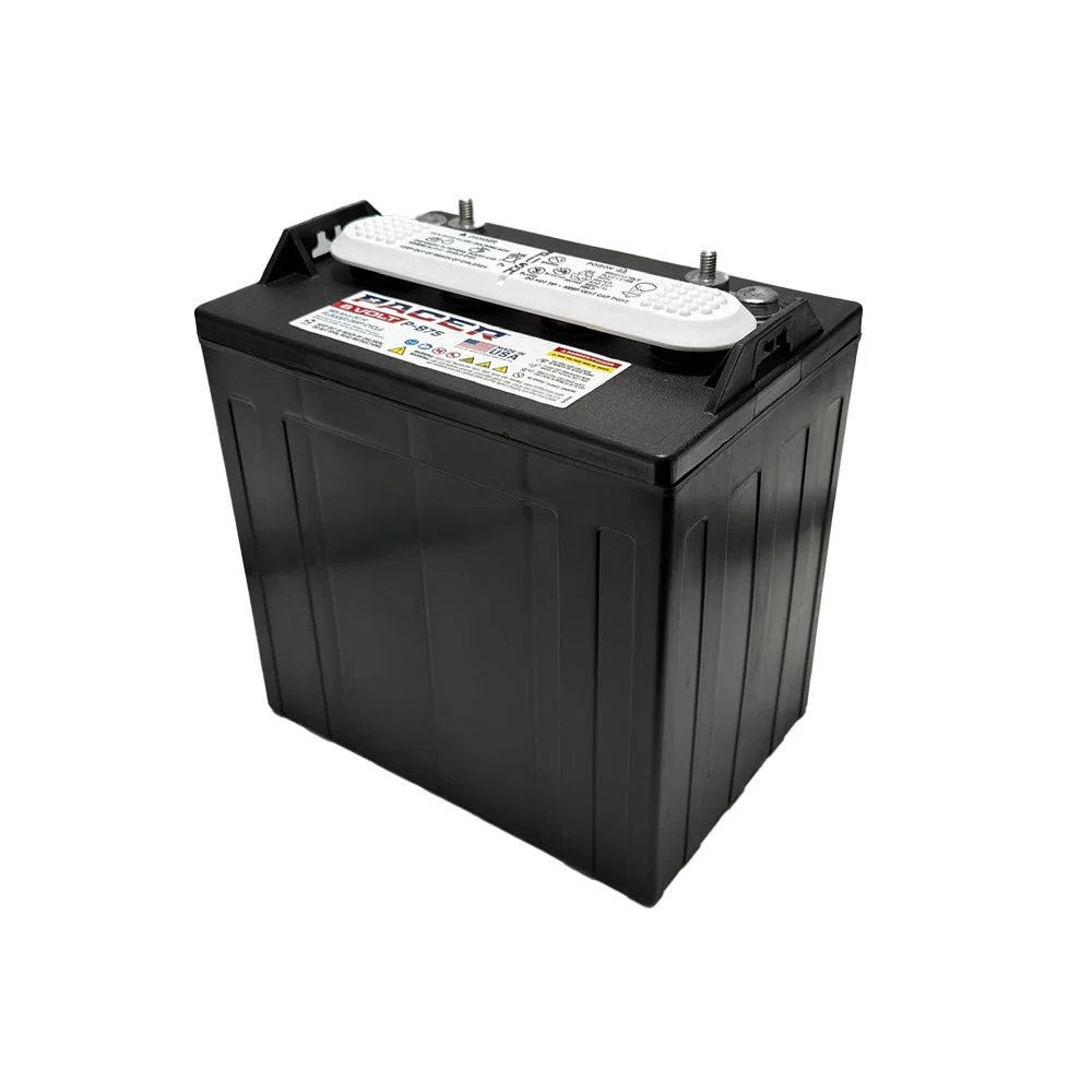 Pacer P - 875 8 Volt 165ah Deep Cycle Battery - Replaces Trojan T - 875 | Set of 6