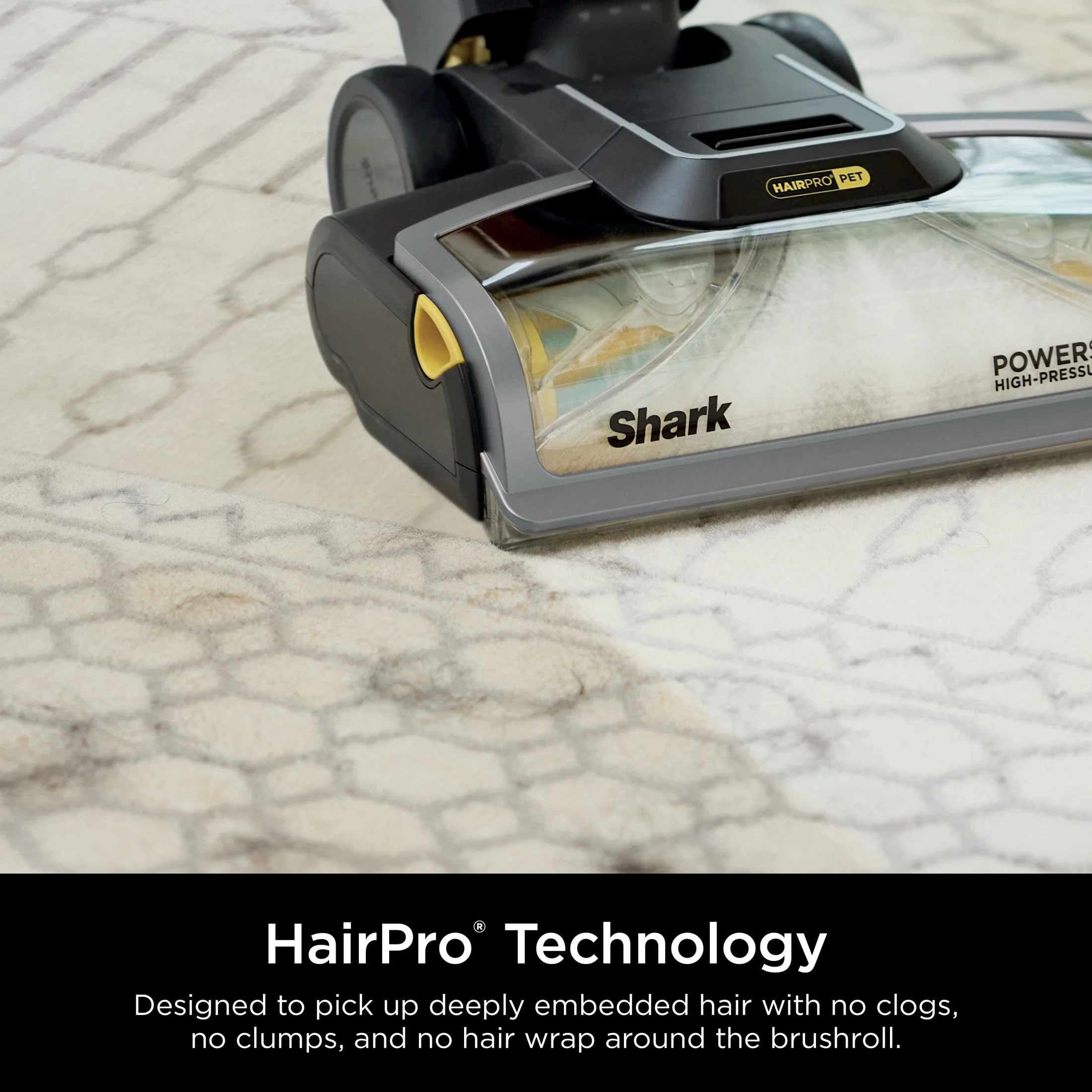 Shark Carpetxpert 2 - in - 1 Upright Deep Carpet Corded Vacuum, with Hairpro Stainstriker Technology, Built - in Spot & Stain Eliminator, with 12 oz Deep Clean Pro and 16 oz Oxy Multiplier, EX300 Gray