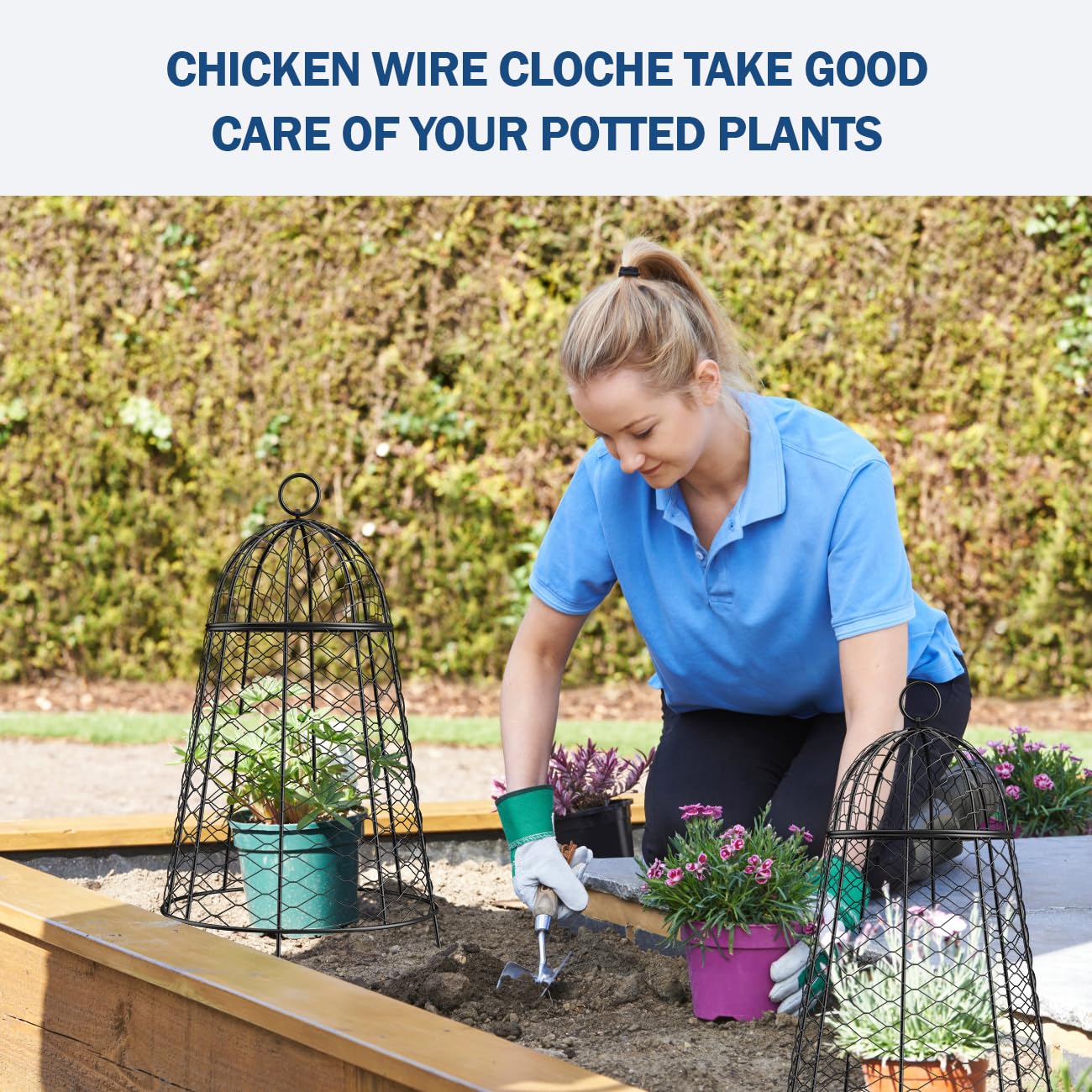 Yolid Garden Cloches for Plants Set of 6. Chicken Wire Cloche Plant