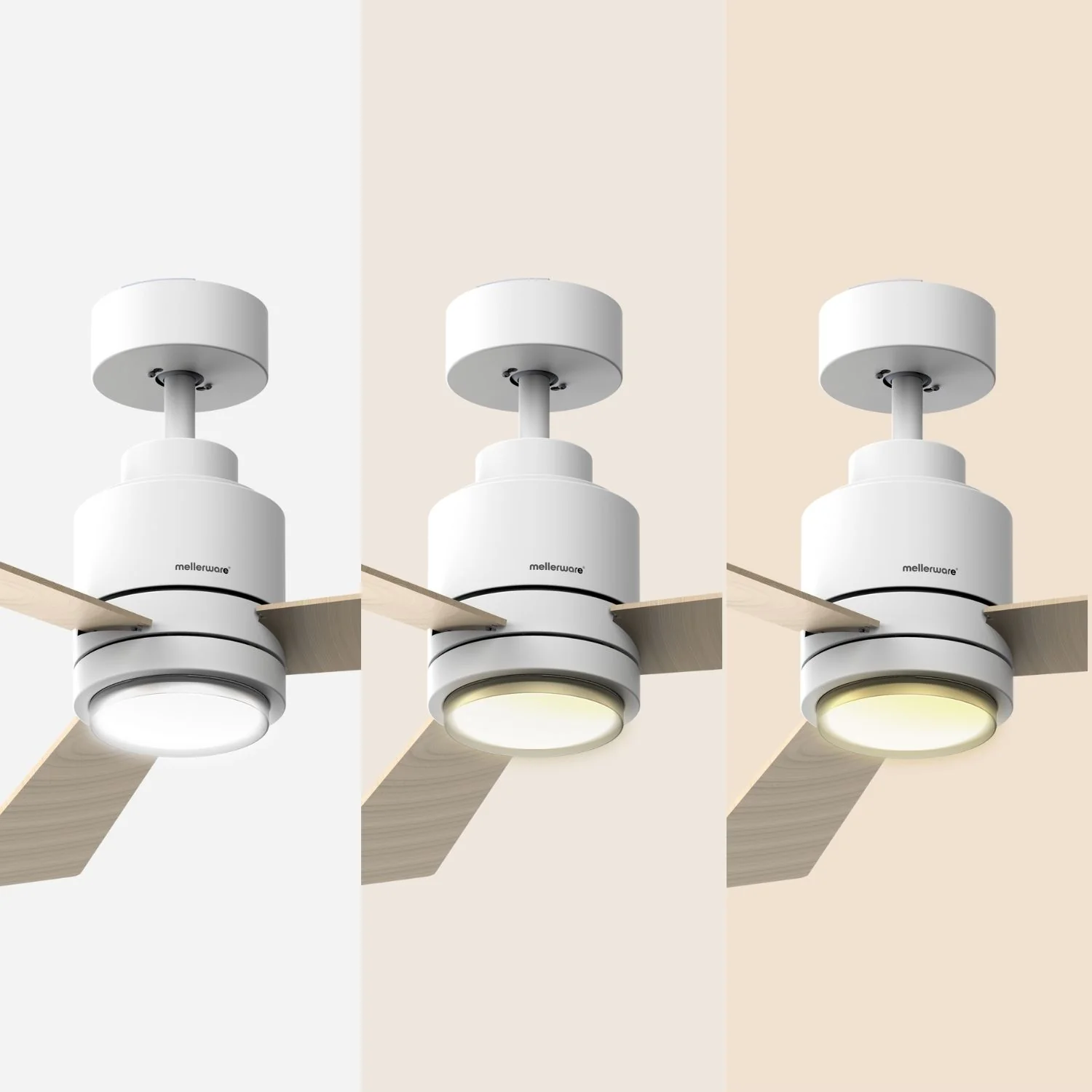 Noyau brillant Brizy