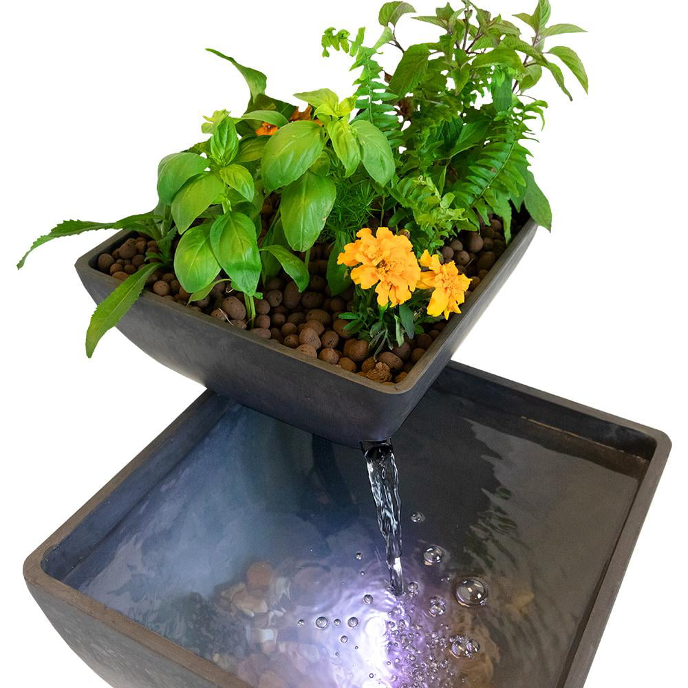 Fontaine AquaSprouts : jardin aquatique hydroponique et aquaponique (8 gallons)