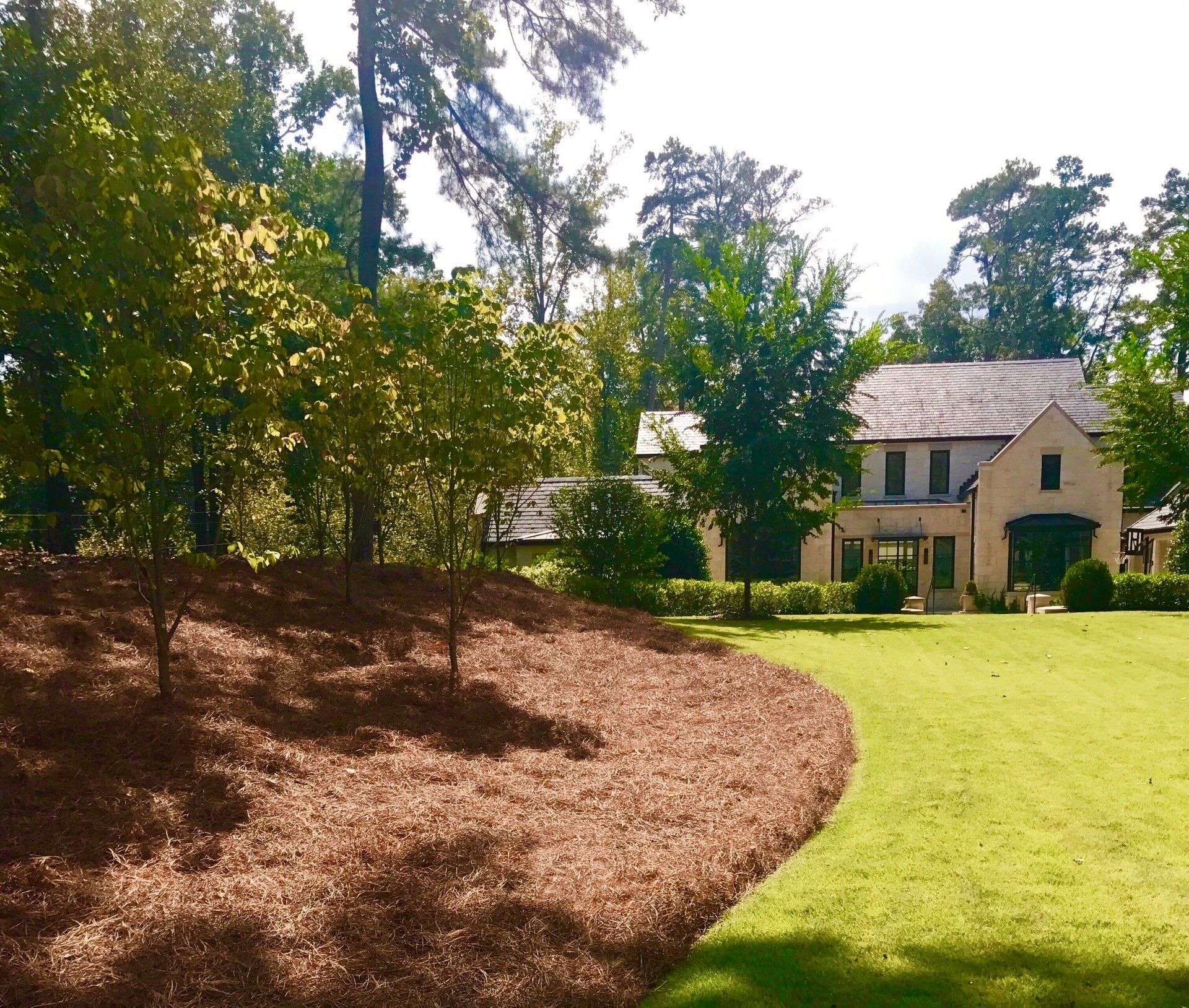 USA Pine Straw Mulch, Premium Long Needle Mulch, Natural Beauty Boost for Garden, Covers 3600 Sqft