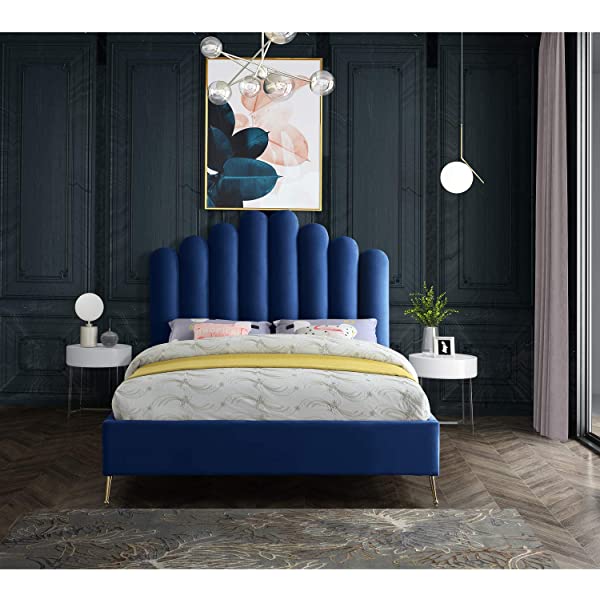 Meridian Furniture Lily Collection Modern | Contemporary Velvet Upholstered Bed with Deep Channel Tufting and Custom Gold Steel Legs, Queen, Cream Cream Queen