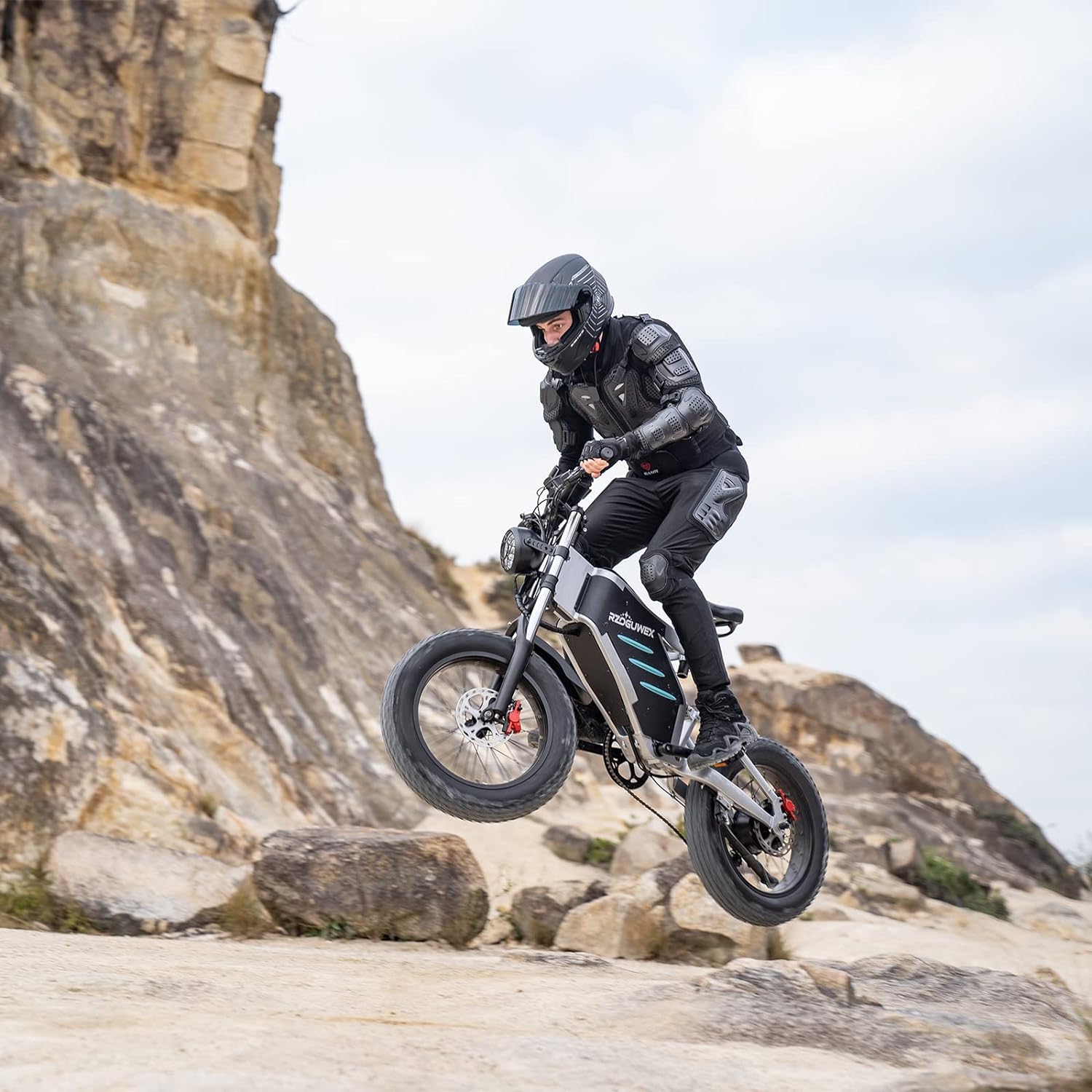 RZOGUWEX Electric Bicycle,20 Inch Off-Road EBIKE for Adults with 48V 25AH Detachable Lithium Ion Battery, 7 Speed Snow Bike with Dual Shock Absorbers and Brush-less Motor